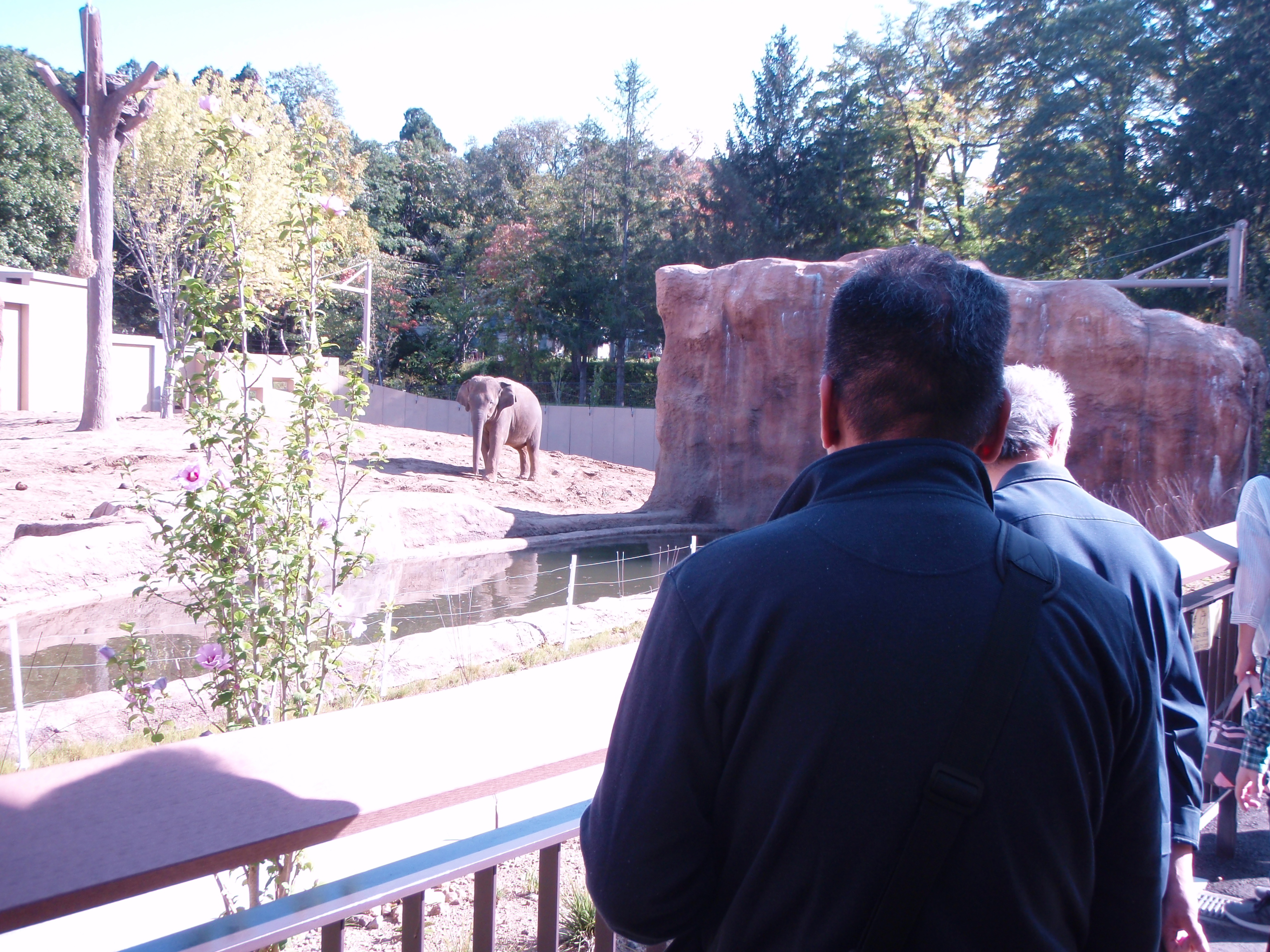 動物園2.JPG